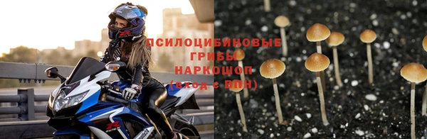 a pvp Осташков