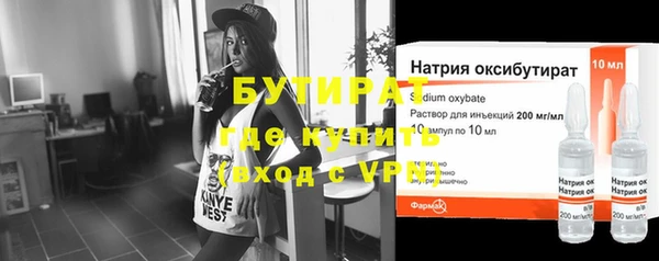 индика Снежногорск