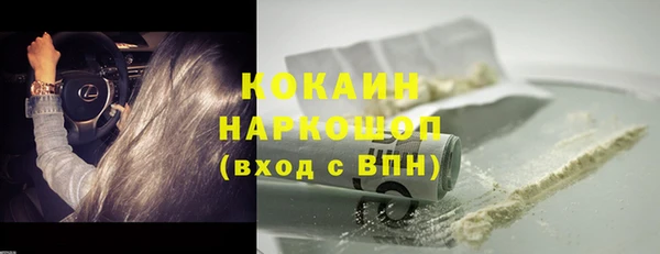 a pvp Пересвет