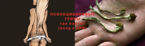 ешки Остров