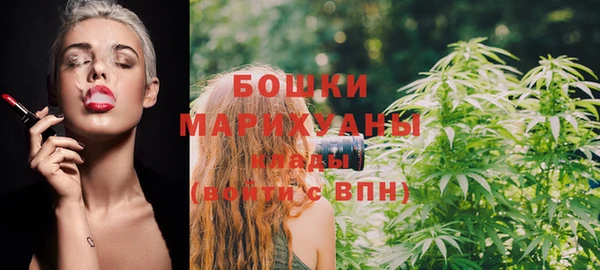 a pvp Пересвет