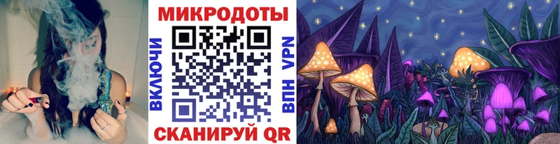 Псилоцибиновые грибы прущие грибы  Пудож 