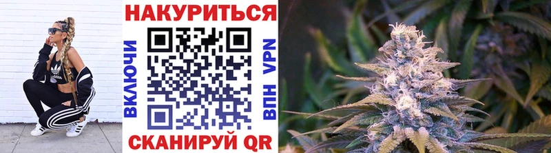 как найти   кракен как зайти  Бошки Шишки тримм  Пудож 