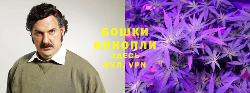 Бошки Шишки Bruce Banner  Пудож 